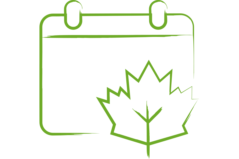 Insektenfreundlicher Garten im Herbst