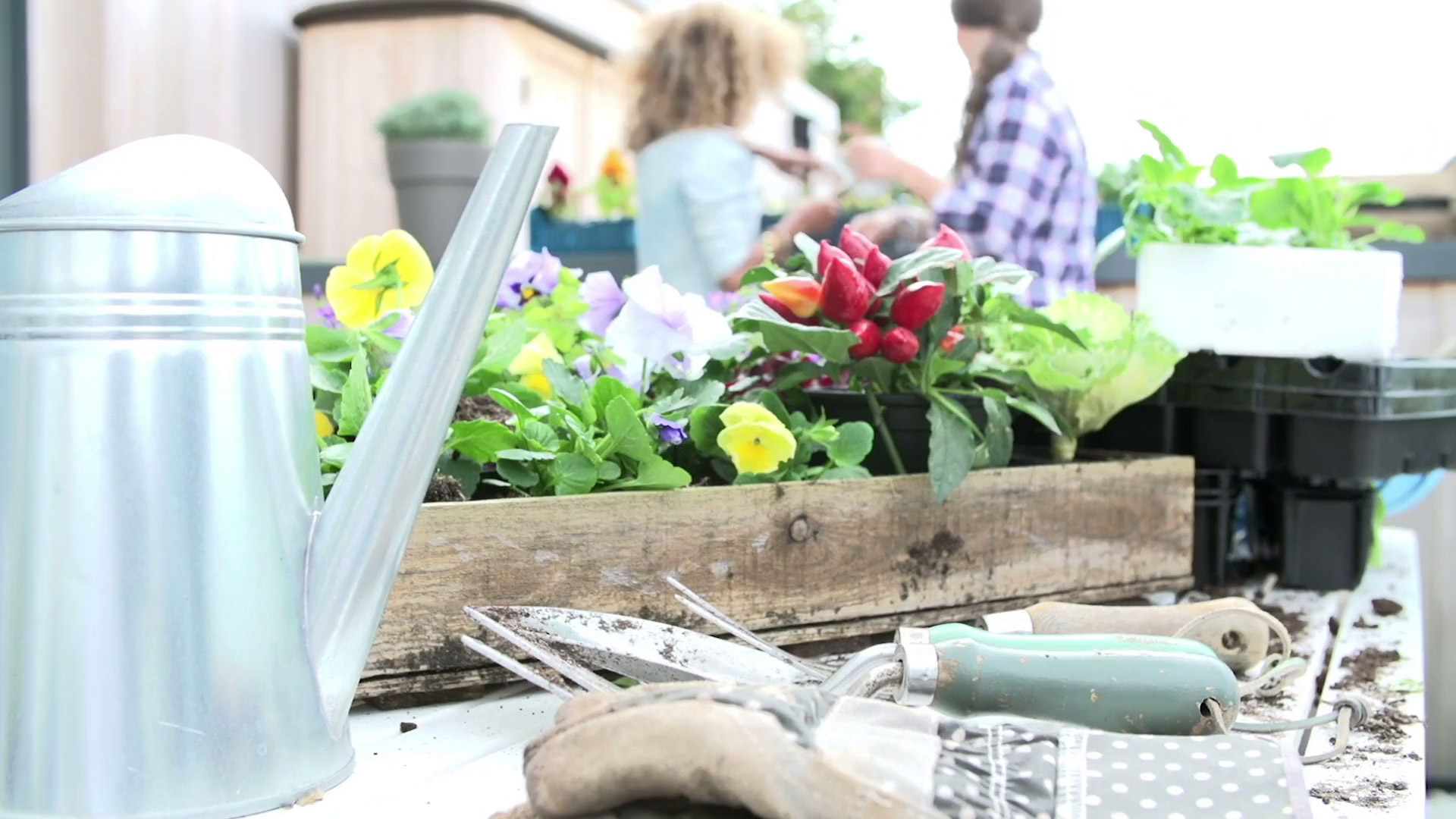 „Meine Gärtnerei“ steht für nachhaltig produzierte Zierpflanzen aus Bayern
