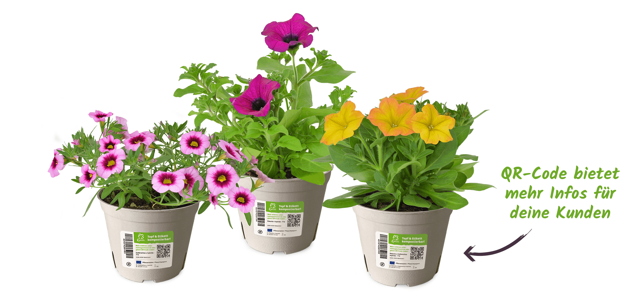 QR-Code bietet mehr Infos für deine Kunden